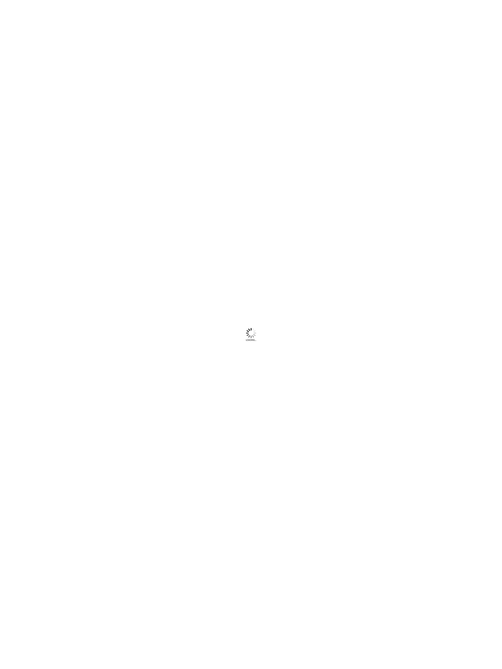 loader Img